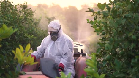 granjero anónimo rociando pesticida en árboles de limón mientras conduce un tractor