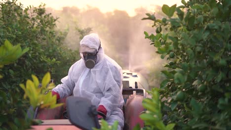 anonymous farmer spraying pesticide on lemon trees while riding tractor