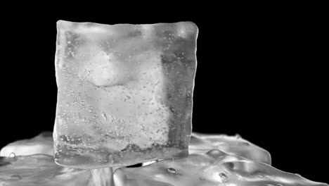 rotación en bucle de cubos de hielo en un fondo aislado negro
