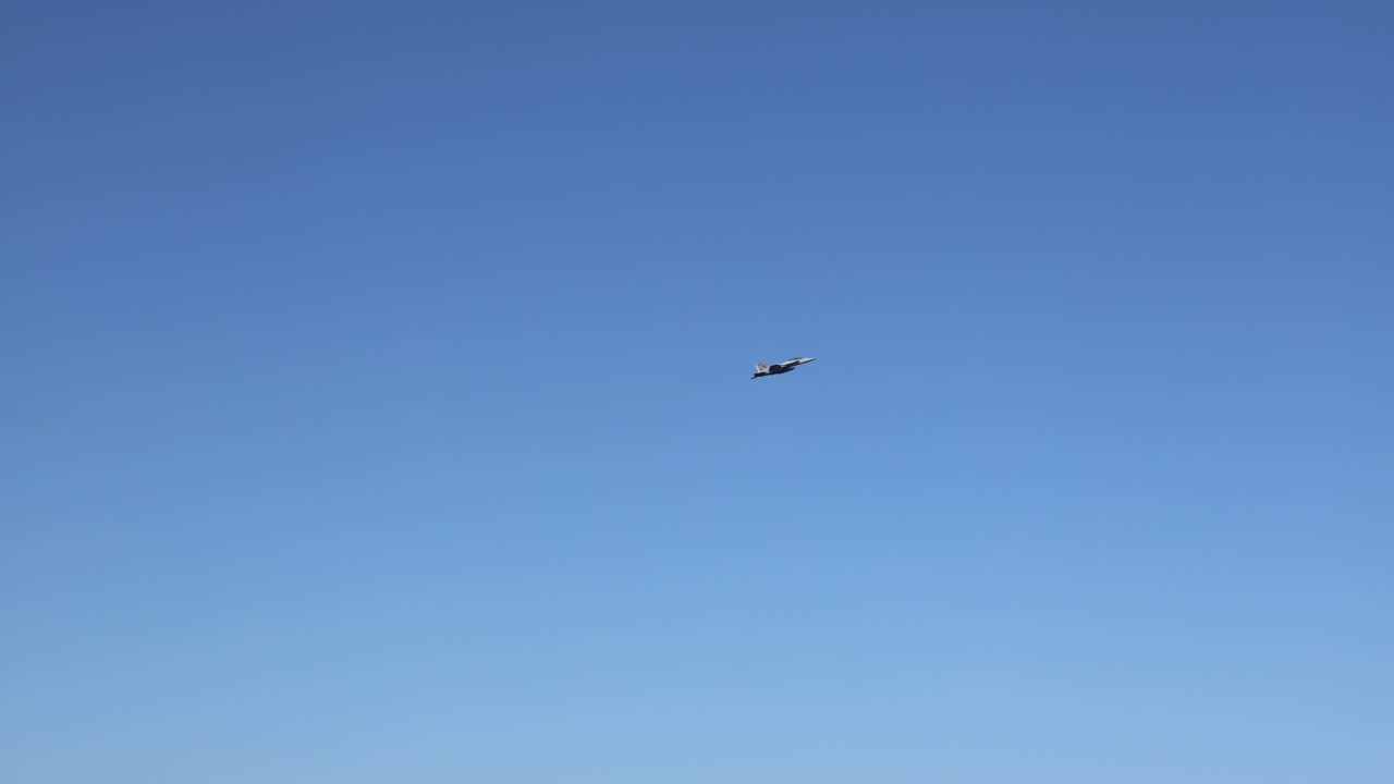 은 파란 하늘을 가로질러 날아다니는 해파리