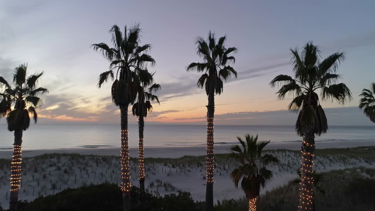 Sun dipping below horizon causing string lights shining on palm trunks at coastal dune