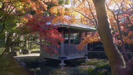 un hermoso parque en tokio durante la temporada de otoño