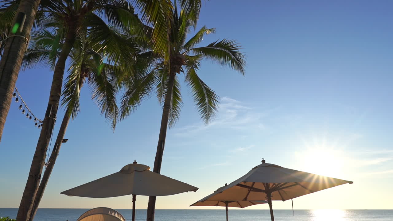 Palma da cocco e ombrelloni sotto un cielo limpido in un resort tropicale sulla spiaggia. Scenario esotico per le vacanze