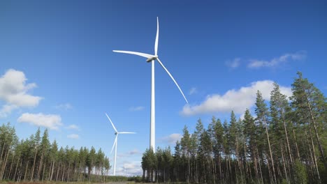 low angle shot of two wind turbines in the middle of a woodland during a sunny day, seen from below