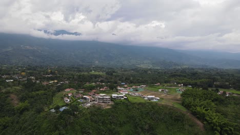 green coffee plantations in valley