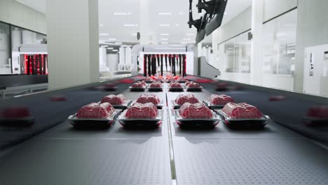 bandejas de carne cruda envasadas en una cinta transportadora en una fábrica