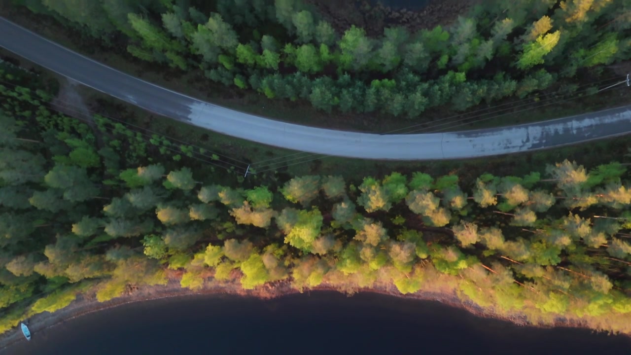 Ripresa aerea del Lago Saimaa a Puumala che scorre in avanti sopra le cime degli alberi illuminate dal sole, rivelando una barca solitaria sulla riva e una strada stretta parzialmente nascosta dietro la foresta, Finlandia.