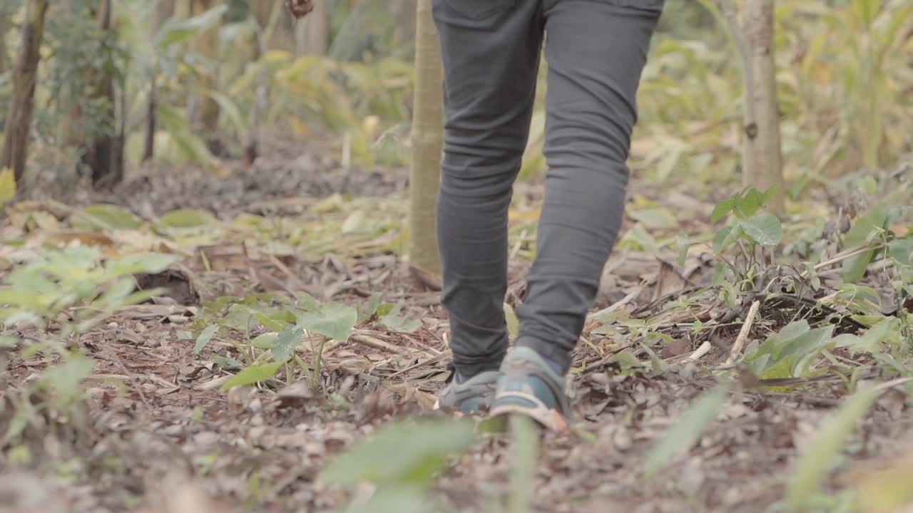 Local farmer dressed in dark grey pants and grey t-shirt walking through the leaves and roots of previously harvested banana trees and other crops