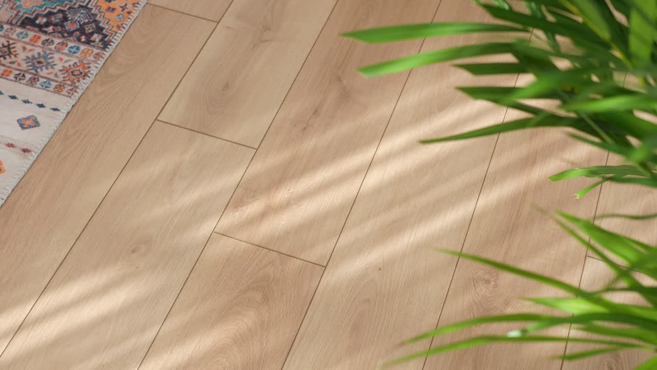 Light wooden floor with sunlight, plant, and rug detail