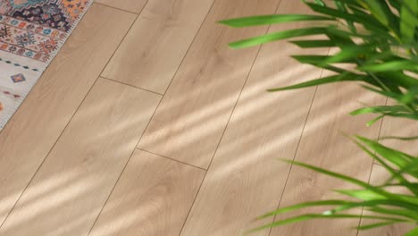 light wooden floor with sunlight, plant, and rug detail