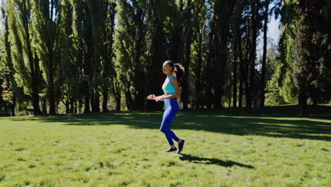 mujer haciendo ejercicio en el parque
