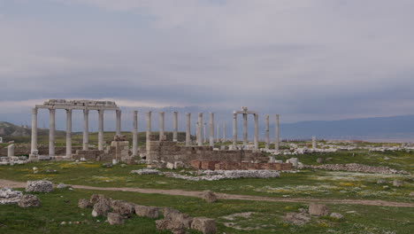 a row of ancient pillars in a field in laodicea