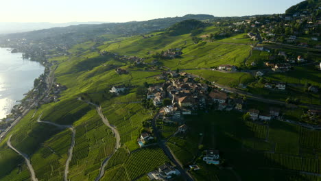 Schöne-Häuser-Im-Dorf-Grandvaux,-Lavaux-weinterrassen,-Schweiz-Mit-Hintergrundbeleuchtung---Luftdrohne