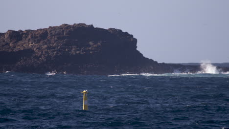 yellow buoy floating in an angry looking ocean close to a rocky shore line