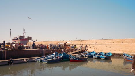 fisherman's port in morocco