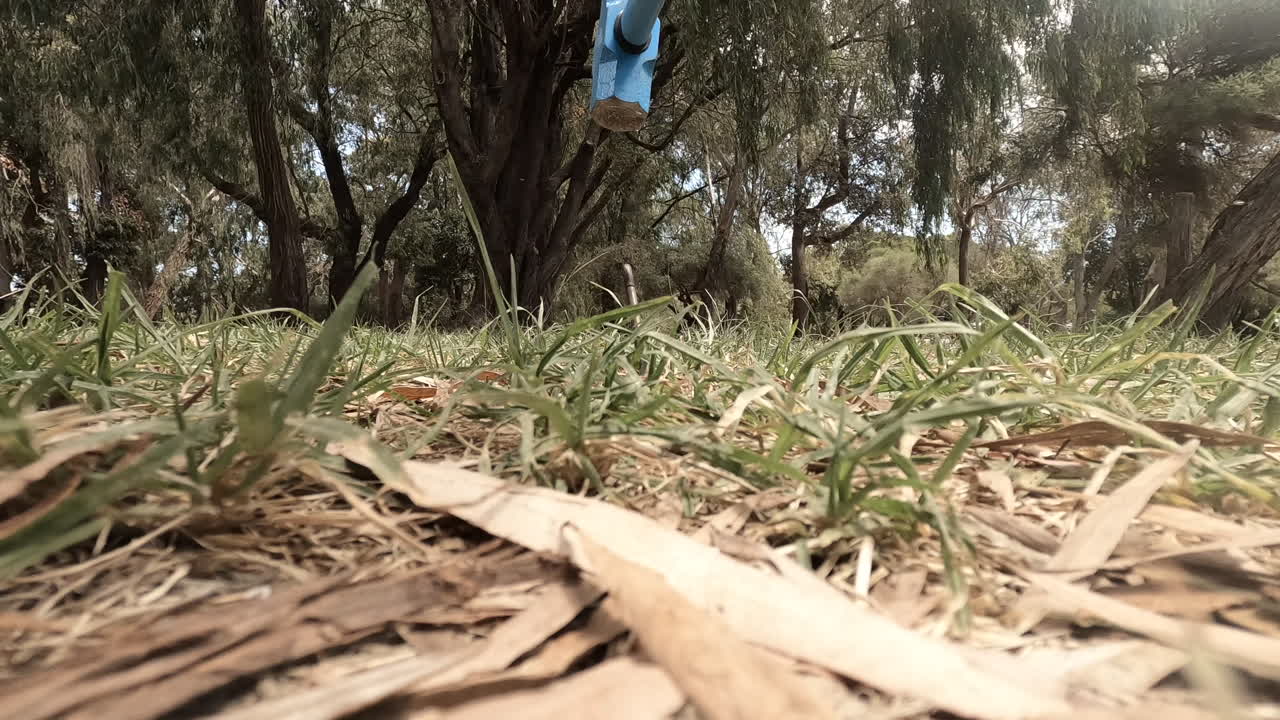 숲에서 파란색 망치 망치를 사용하여 텐트 말뚝을 땅에 망치