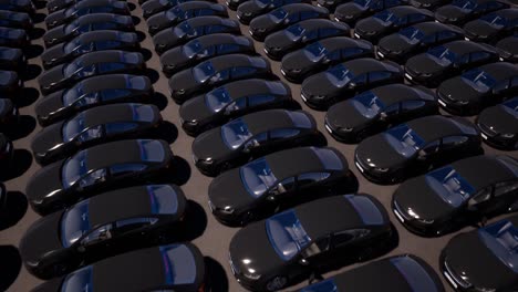 black cars on parking realistic animation. city transport top view footage. generic modern automobiles motion video. auto rental service. traffic jam concept. urban means of transportation