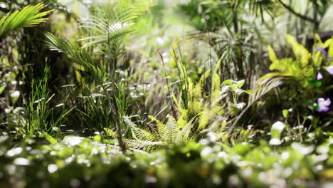 ジャングルの草と植物を閉じる