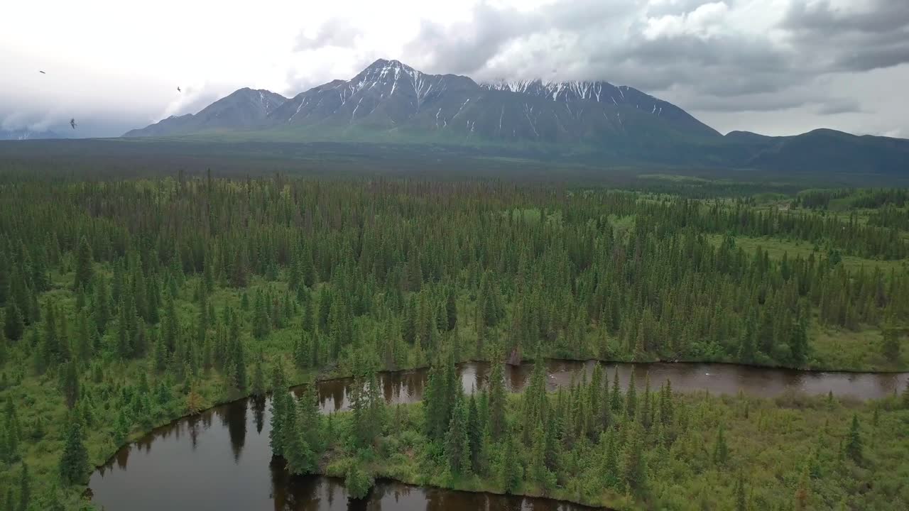 Establishing scenic view of Mount Decoeli pyramidal peak in Yukon Kluane ranges of Saint Elias mountains with Jarvis curvy creek river and green vegetation and trees, Canada, overhead aerial approach