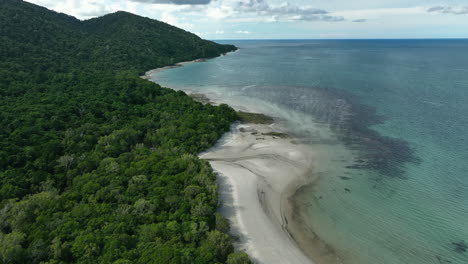 aerial view over the beach and ocean with the surrounding rainforest in cape tribulation, australia