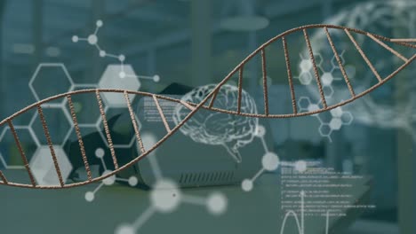 Animación-De-Cerebros-Humanos,-Procesamiento-De-Datos-Científicos-Y-Hilado-De-Cadenas-De-ADN.