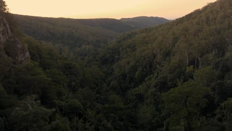 purling brook forest filmed with a drone, australia