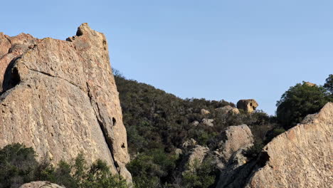 Rocky-cliffs-at-Mammoth-Rock-in-Walnut-Creek,-CA-on-a-clear-day-with-shrubs-and-trees