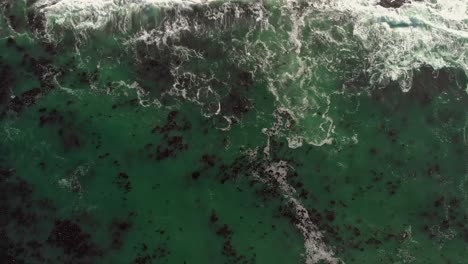 Aerial-view-of-bamboo-covered-sea-revealing-a-wave-rolling-over-a-rocky-shore-coming-to-stand-still-over-contrast-of-greenery-with-walking-paths