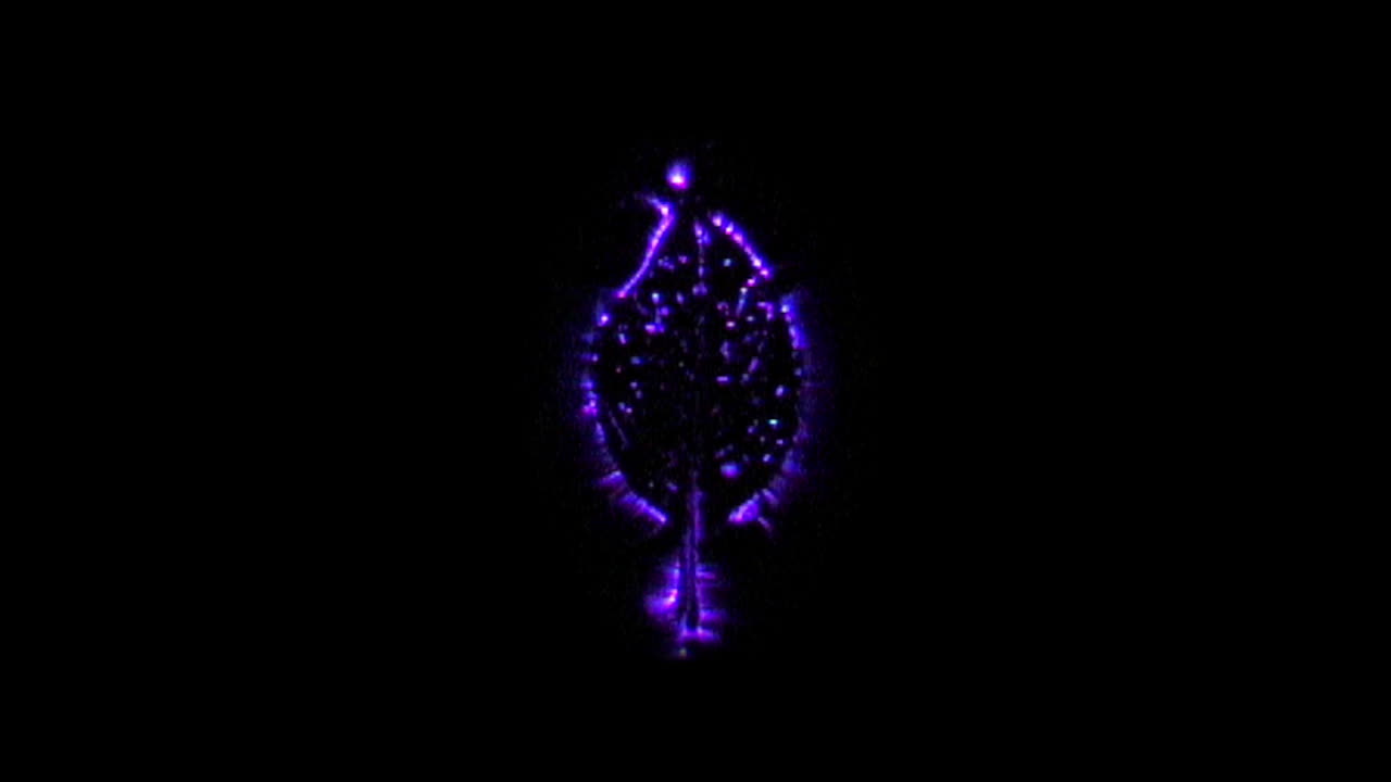 Kirlian photography of Poinsettia leaf