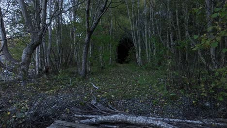 viejo puente ferroviario histórico en rodberg, ferrocarril de bergen desmantelado