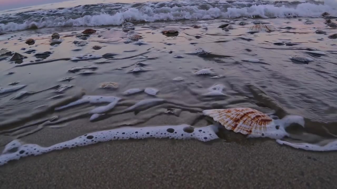 Gentle Ocean Waves Washing Over Seashells on Sandy Beach at Sunset