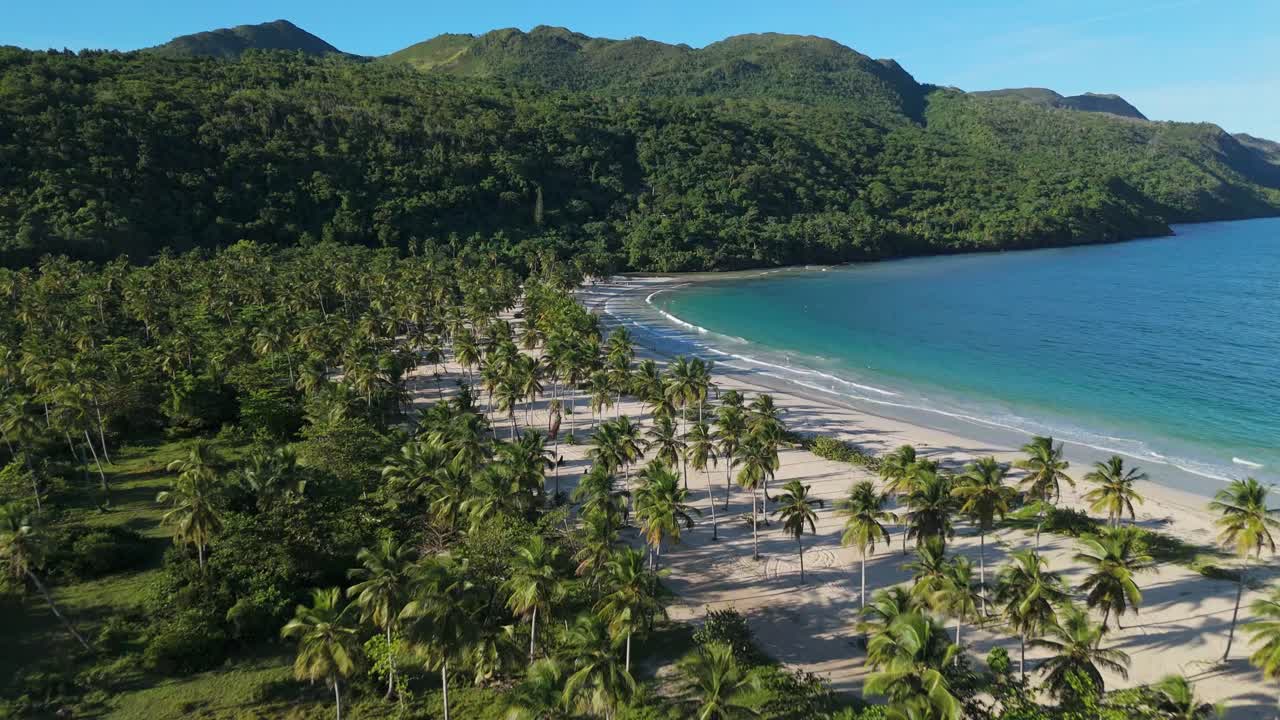 Aerial shot moving forward over Playa Rincón in Samaná, with a view of the coconut trees along the shore and the waves gently breaking, capturing the natural and tropical beauty of the place.