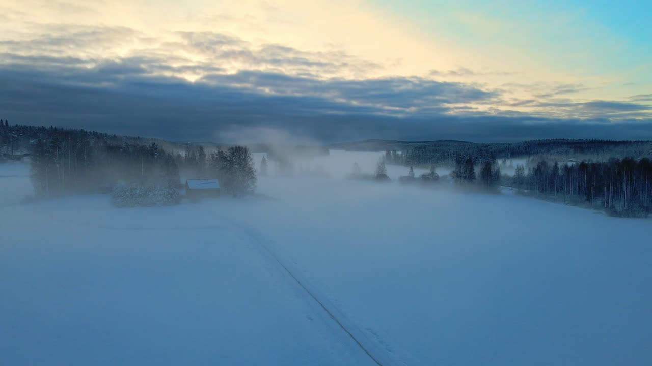 vista aérea de campos brumosos y nevados y bosques en el amanecer de la mañana de invierno