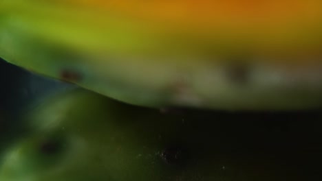 macro detailed video of a sliced sabra, open tropical cactus fruit, smooth tilt up movement, slow motion 120fps