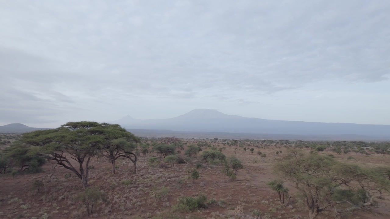 Riprese aeree del paesaggio del Parco Nazionale di Amboseli con il Monte Kilimanjaro sullo sfondo.