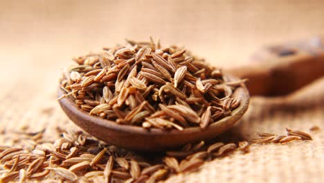 cumin seeds in wooden spoon