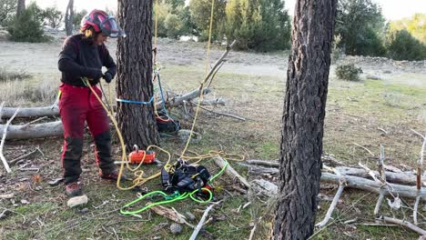 High altitude working woman preparing equipment for climbing trees