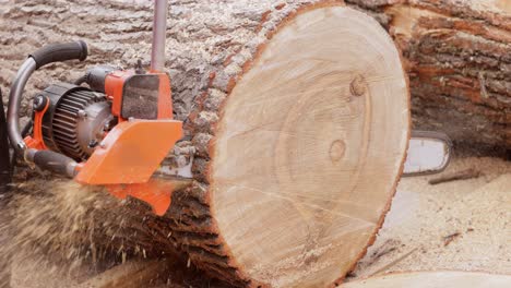 Woodcutter-saws-tree-with-electric-chain-saw-on-sawmill.-Chainsaw-used-in-activities-such-as-tree-felling,-pruning,-cutting-firebreaks-in-wildland-fire-suppression,-and-harvesting-of-firewood.