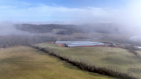 aerial of chicken farm in the distance in wilkes county nc, north carolina