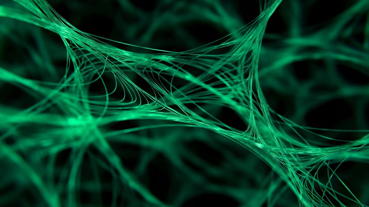 Vista ravvicinata di delicati filamenti color verde acqua che si dispiegano in ampi archi interconnessi e incroci ad anello contro uno spazio negativo nero profondo con una profondità luminosa a strati, con un aspetto astratto e filamentoso.