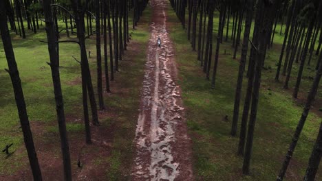 Shot-of-a-white-bike-passing-on-a-pathway-through-pine-park-at-Bo-Kaeo-Silvicultural-Research-station,-Chiang-Mai,-Thailand-at-daytime