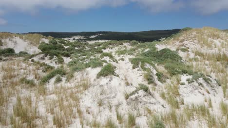 un metraje aéreo dinámico que se mueve desde la orilla del mar hacia el paisaje detrás de él