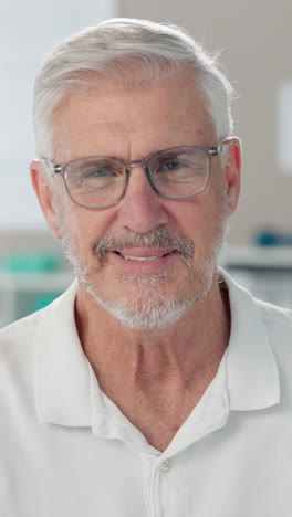 smiling senior man portrait