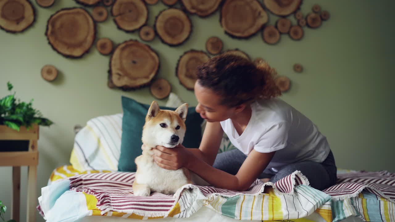 Woman petting her Shiba Inu dog in a bedroom