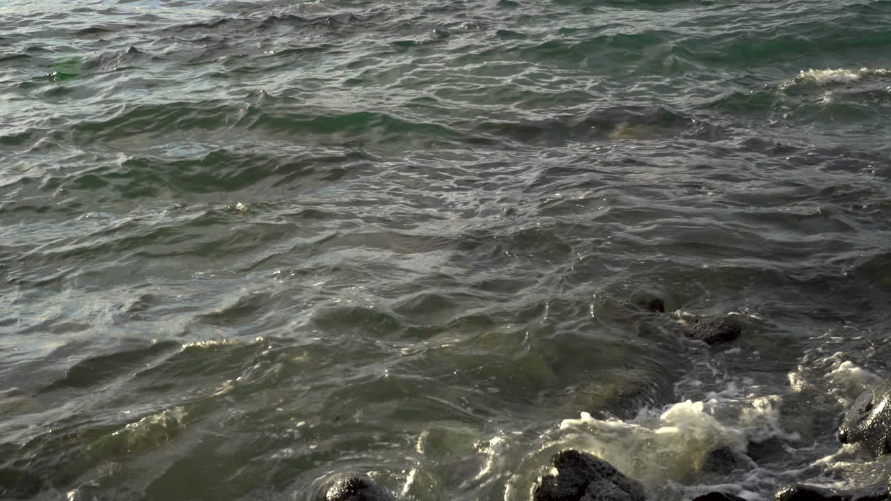 4K, Tartarughe che nuotano su e giù nell'oceano