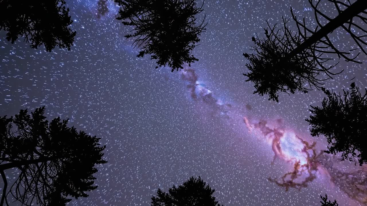 A mesmerizing video still of the Milky Way, captured from a low-angle view through silhouetted
