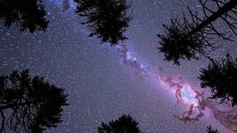 a mesmerizing video still of the milky way, captured from a low-angle view through silhouetted