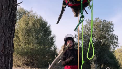 una alumna de formación de profesores colgando con un arnés de seguridad de un árbol, con muchas cuerdas y material de escalada mientras aprende poda de altura y nudo atado