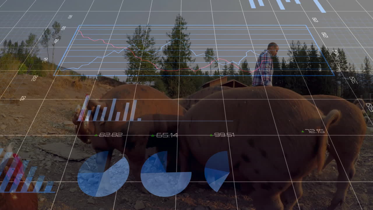 Miesviljelijä seisoo maatalouspihalla ja esittelee sika- ja kana-datakaavioita.