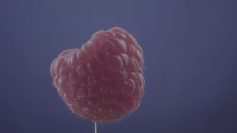 raspberry rotating with loop on blue screen for chroma key